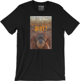 Orangutan - Why? - Men's/Unisex T-shirt