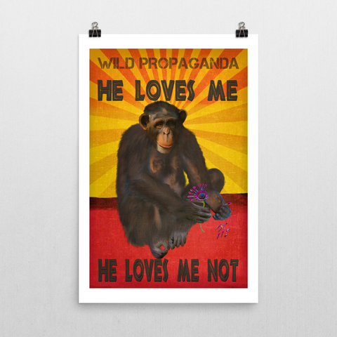 Chimpanzee - HE LOVES ME, HE LOVE ME NOT - Poster