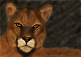 Mountain Lion - Limited Edition Signed and Numbered Fine Art Print